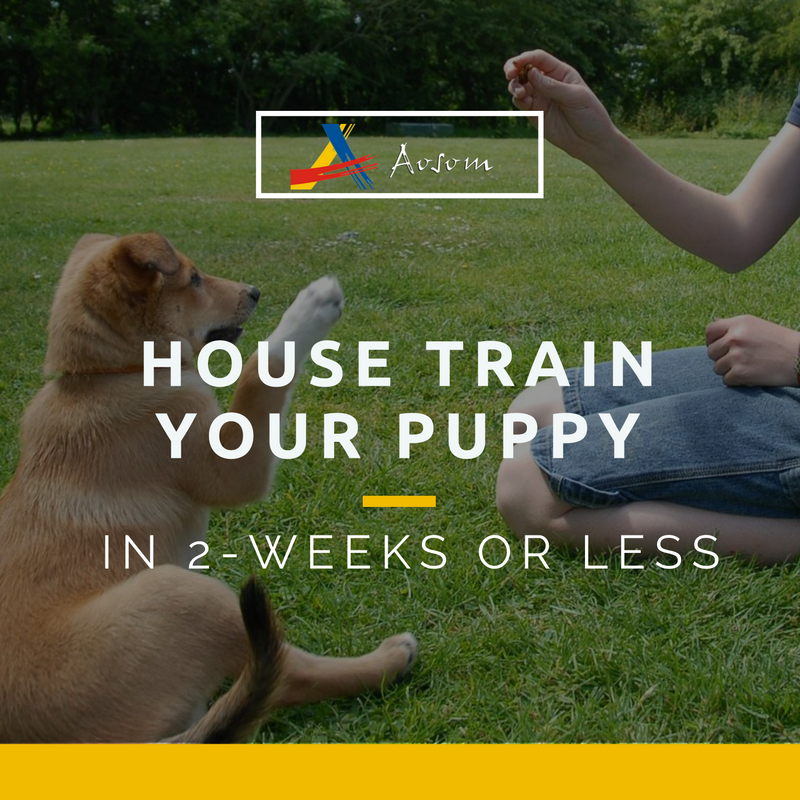 How to House Train a Puppy in Less than 2 Weeks