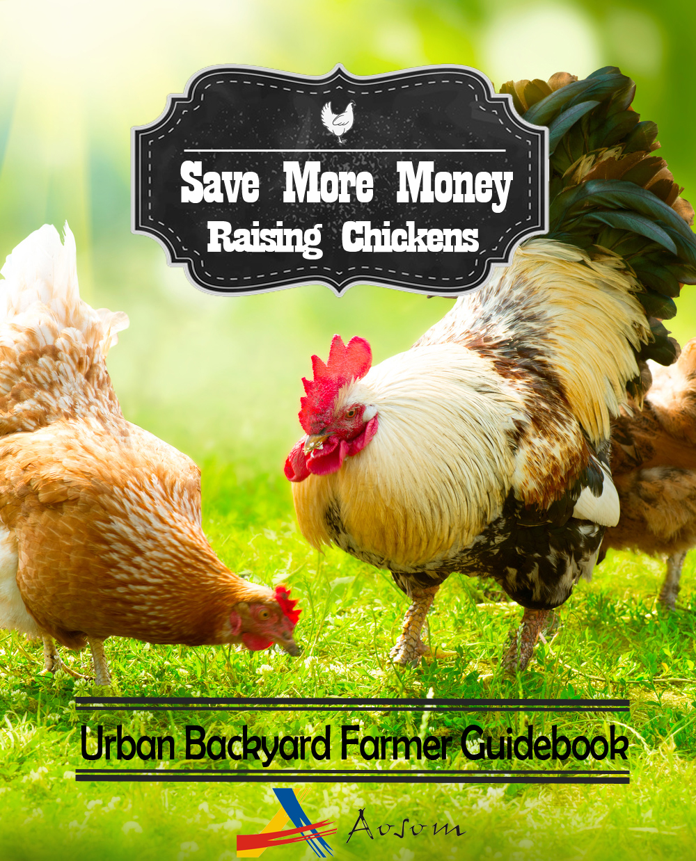 How to Save Money Raising Backyard Chickens