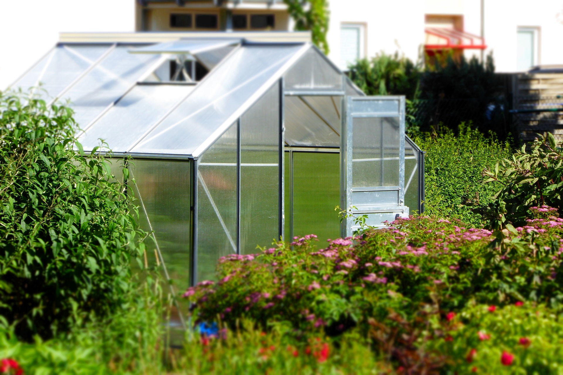Choosing the Right Greenhouse for Your Garden