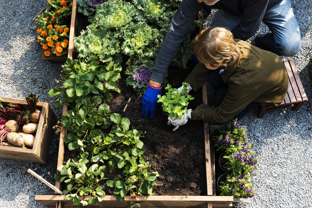 The Essential Gardening Checklist for Beginning Growers