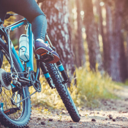 Bike Cargo Trailers Buying Guide