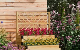 How to Build a Raised Garden Bed