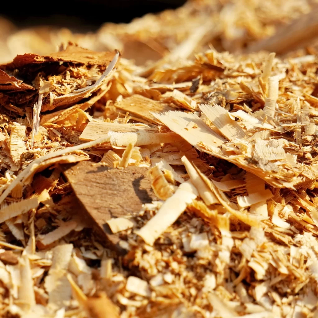 Using Wood Chips for Smoking Flavor