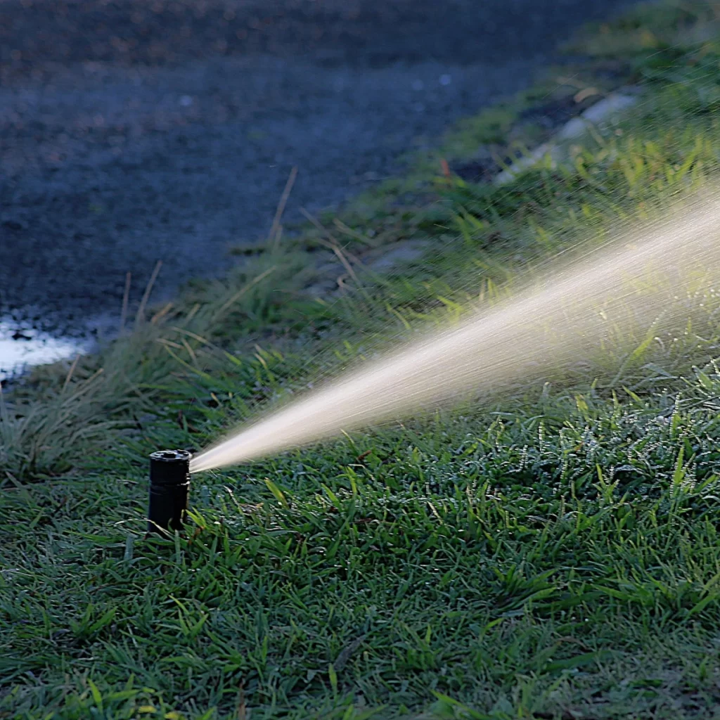 Automated irrigation system watering plants in a greenhouse.