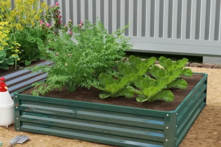 What to Plant in Raised Garden Beds