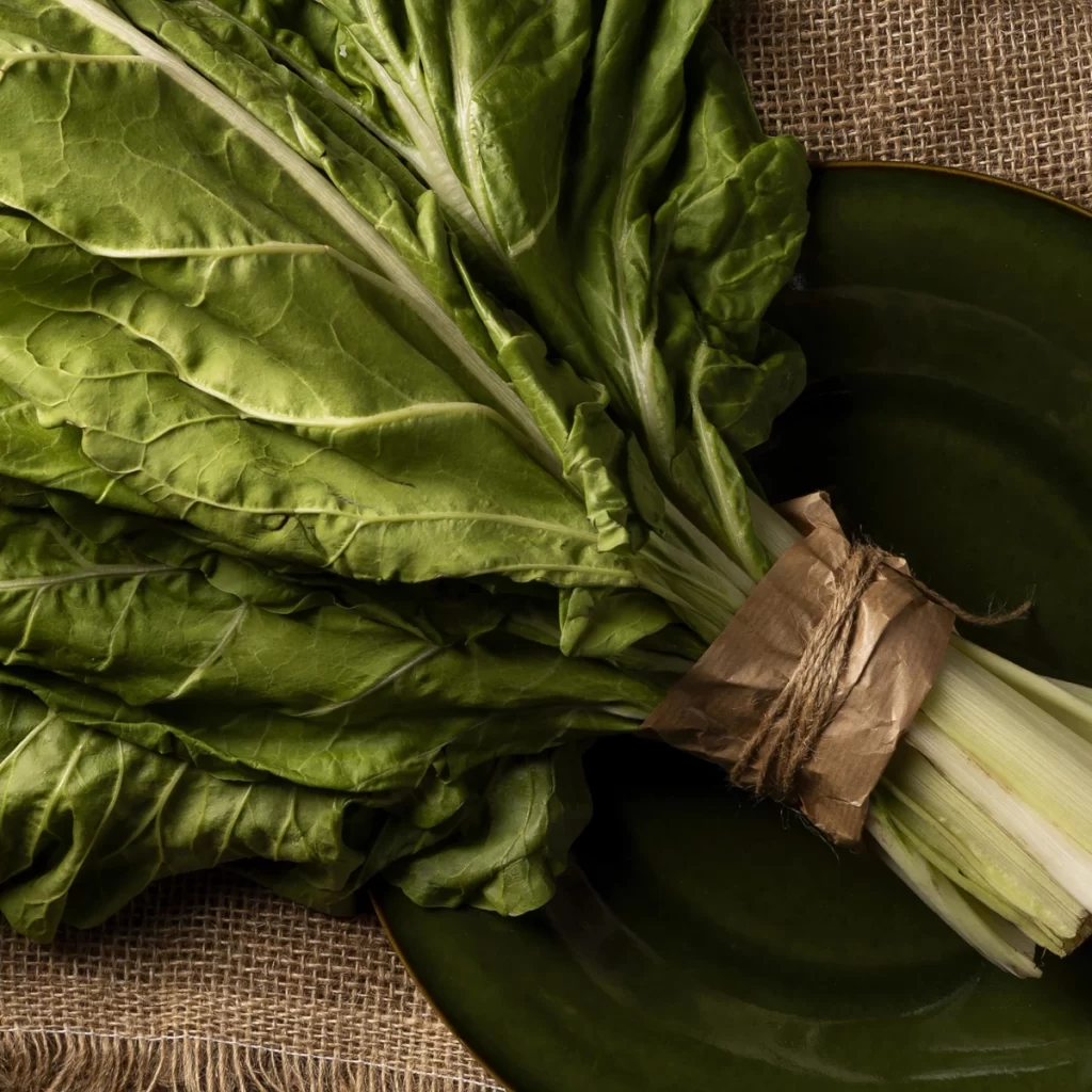 A bunch of fresh chard, a cool-season crop thriving in a greenhouse environment.