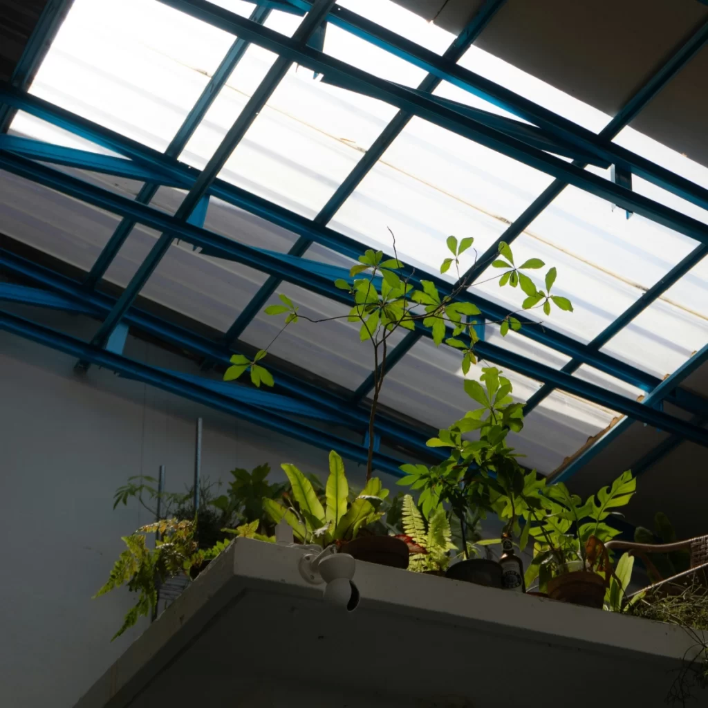 Greenhouse ventilation system enhancing airflow to regulate temperature and humidity efficiently.