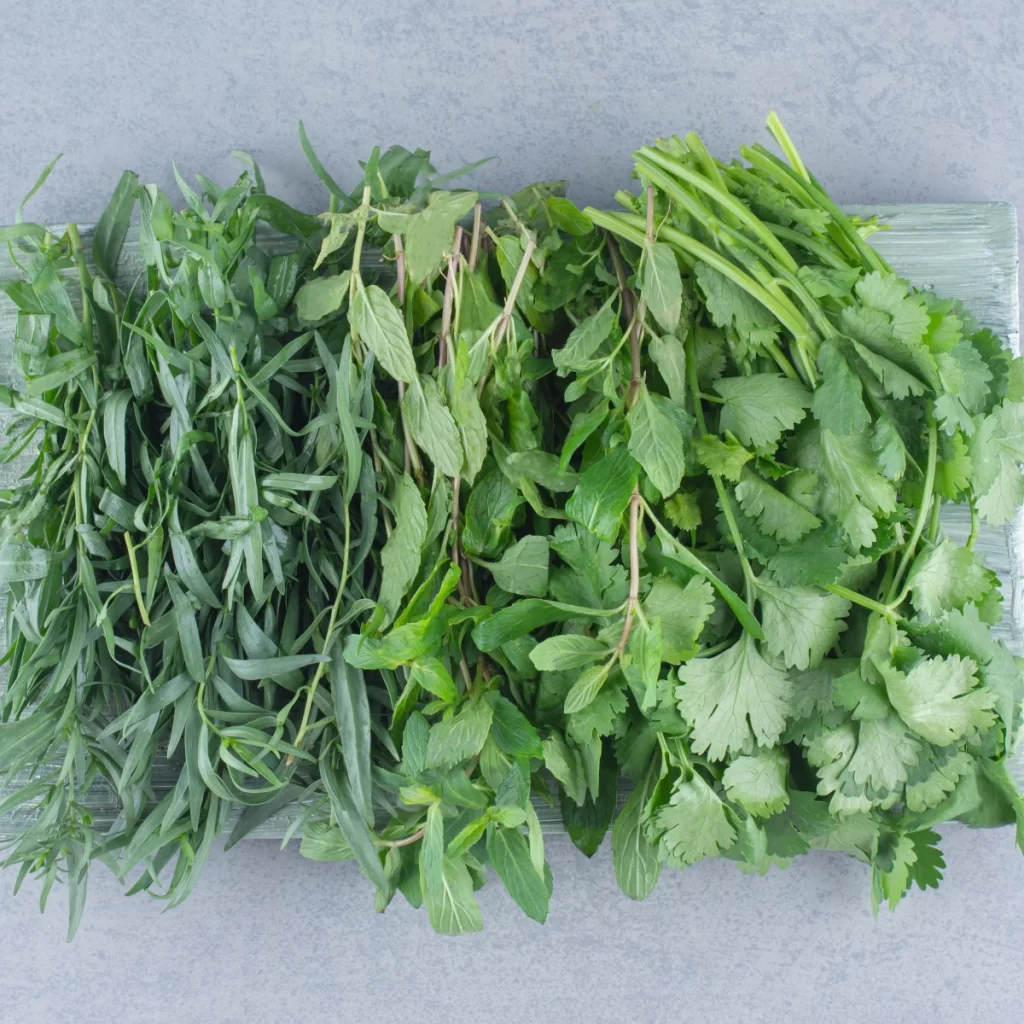 Fresh herbs arranged neatly on a gray surface.