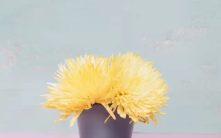 Beautifully painted flower pot with fresh plant, showcasing simple DIY decoration.