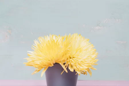 Beautifully painted flower pot with fresh plant, showcasing simple DIY decoration.