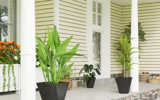 Flower Pots on patio
