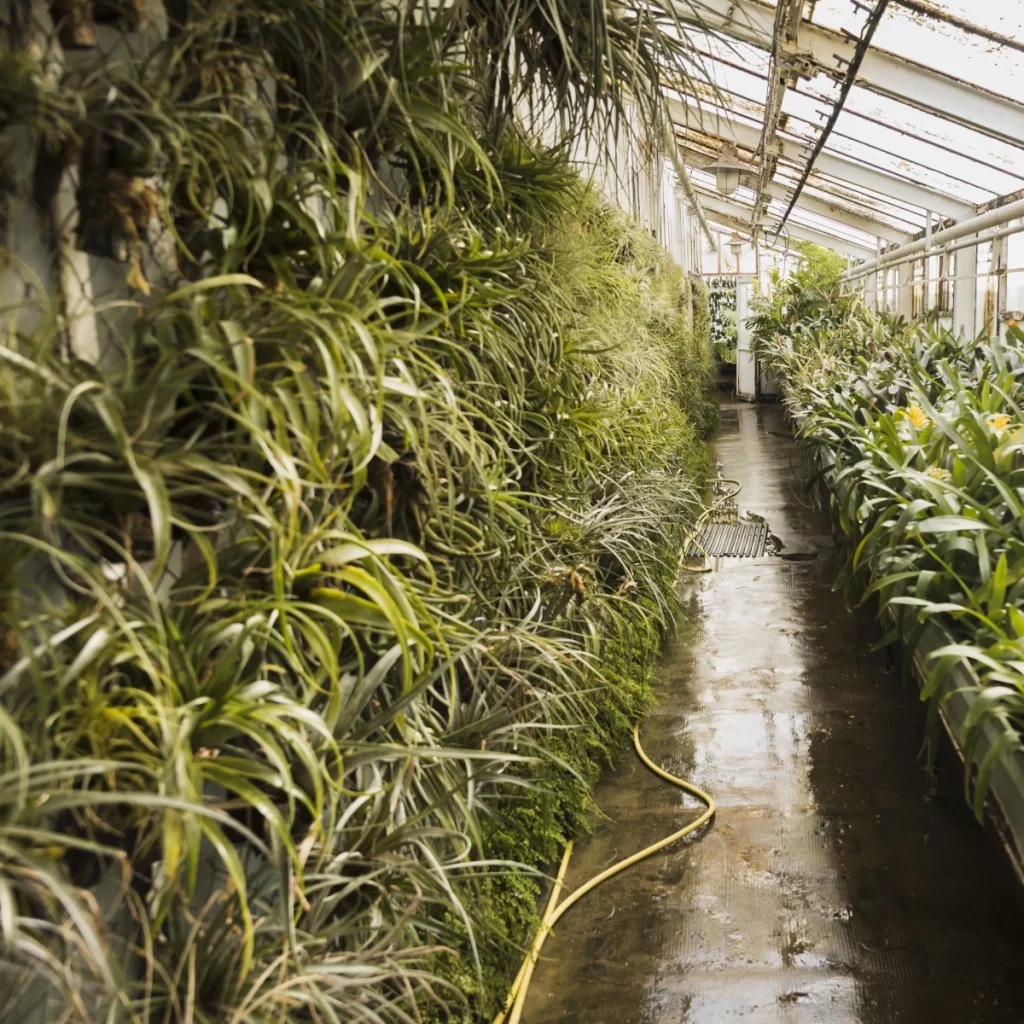 Tools used in greenhouses for maintaining optimal humidity levels for healthy plant growth.