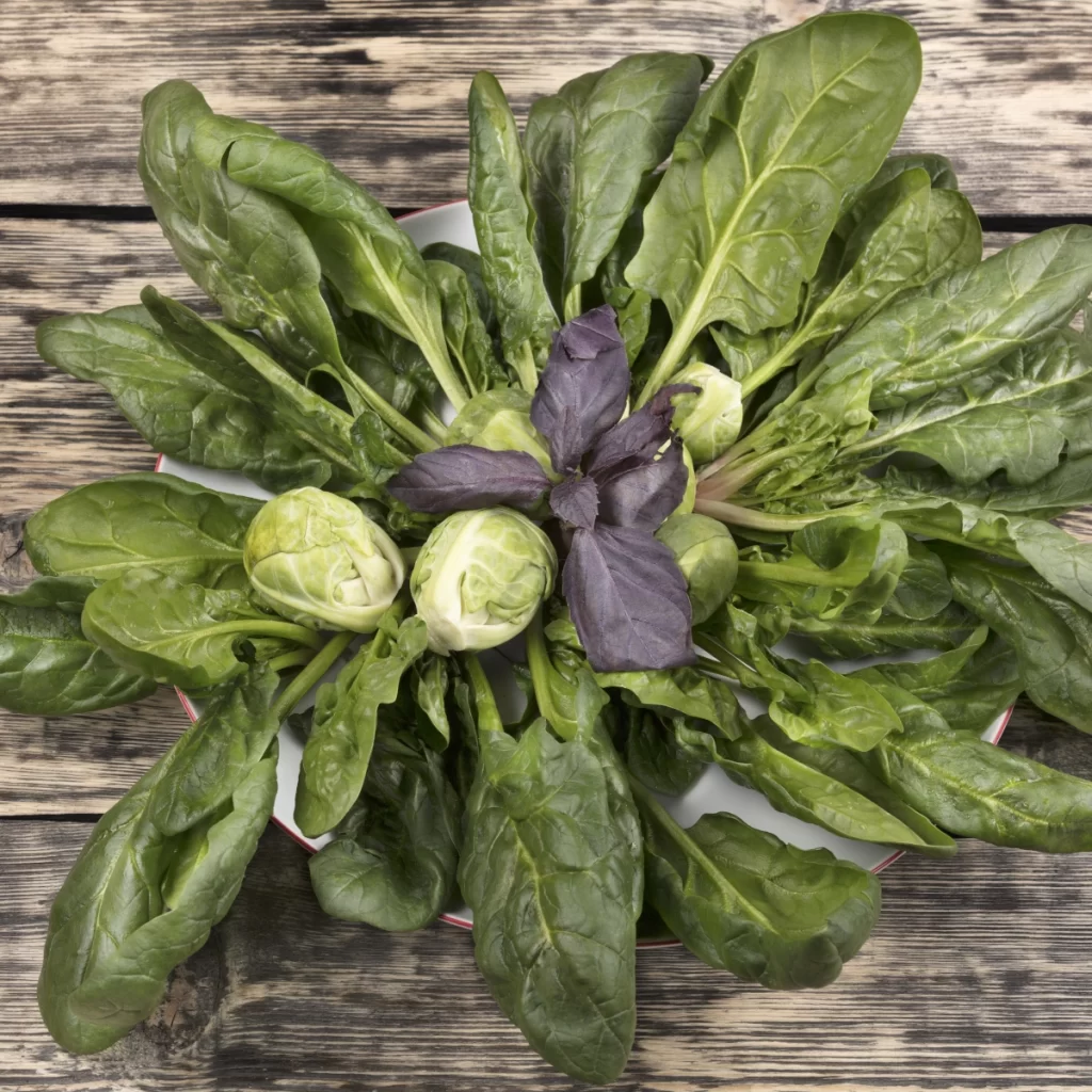 Mixed leafy greens with spinach and Brussels sprouts on a plate.