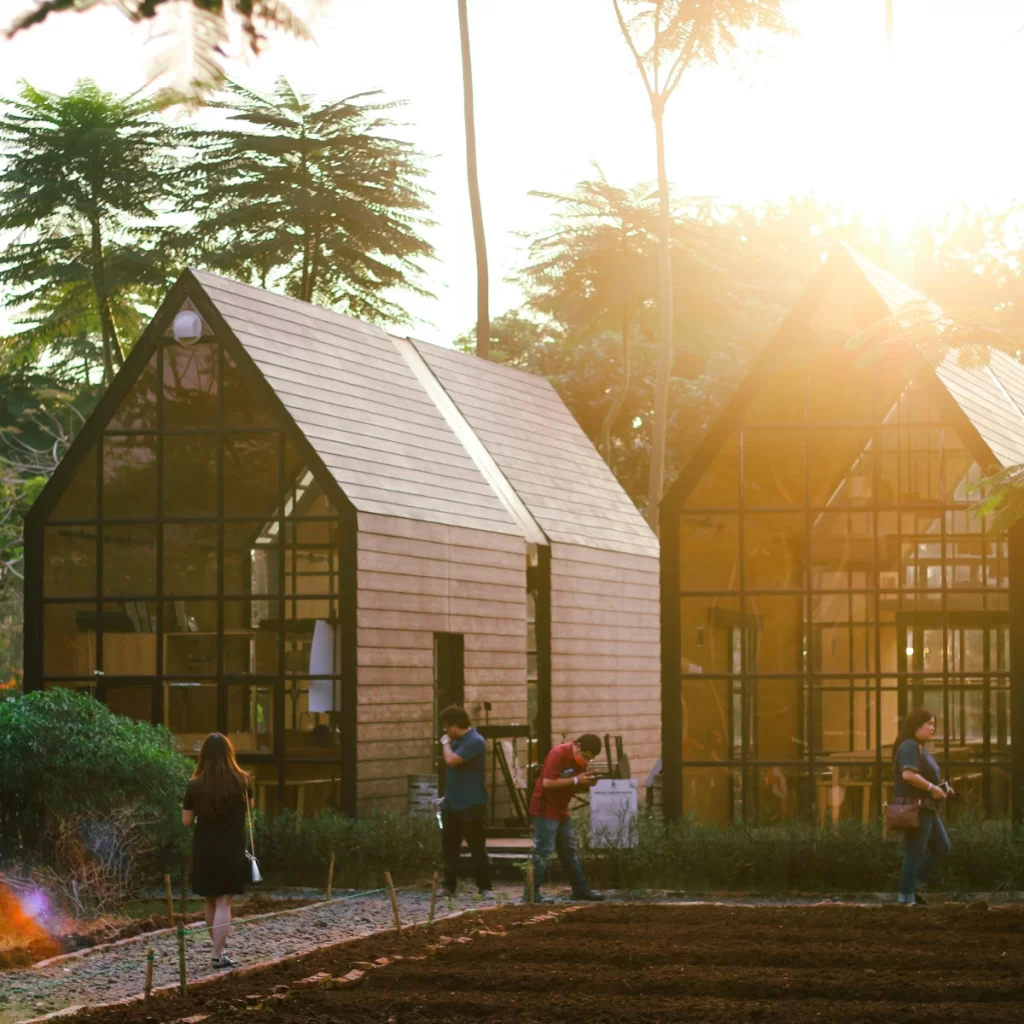 Methods to manage natural and artificial light in greenhouses for optimal plant development.