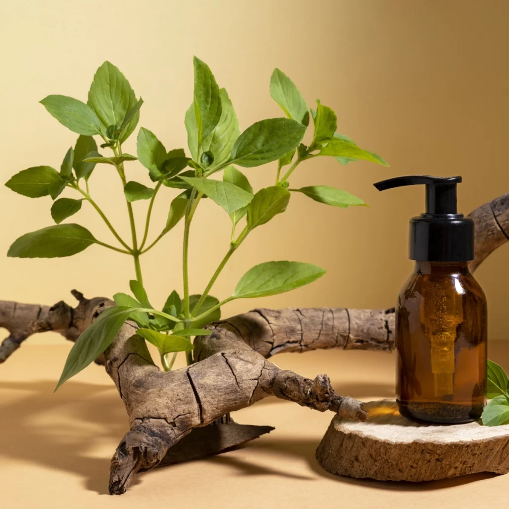 Neem oil bottle beside a plant, used for natural pest control.