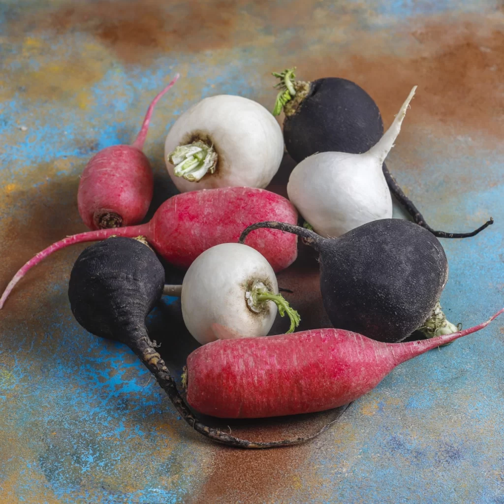 Assorted root vegetables including radishes, carrots, and turnips on a textured surface.