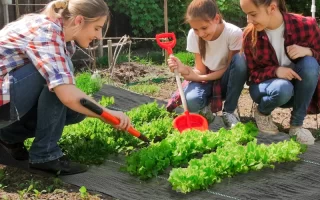 Top 9 eco-friendly and effective alternatives to traditional landscape fabric solutions.
