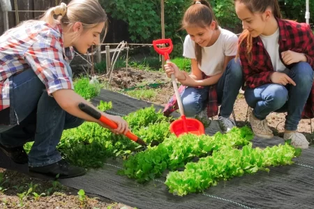 Top 9 eco-friendly and effective alternatives to traditional landscape fabric solutions.