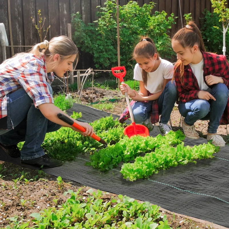 Top 9 eco-friendly and effective alternatives to traditional landscape fabric solutions.