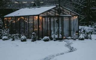 Greenhouse in Winter