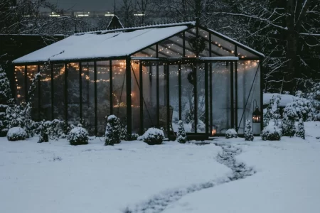 Greenhouse in Winter