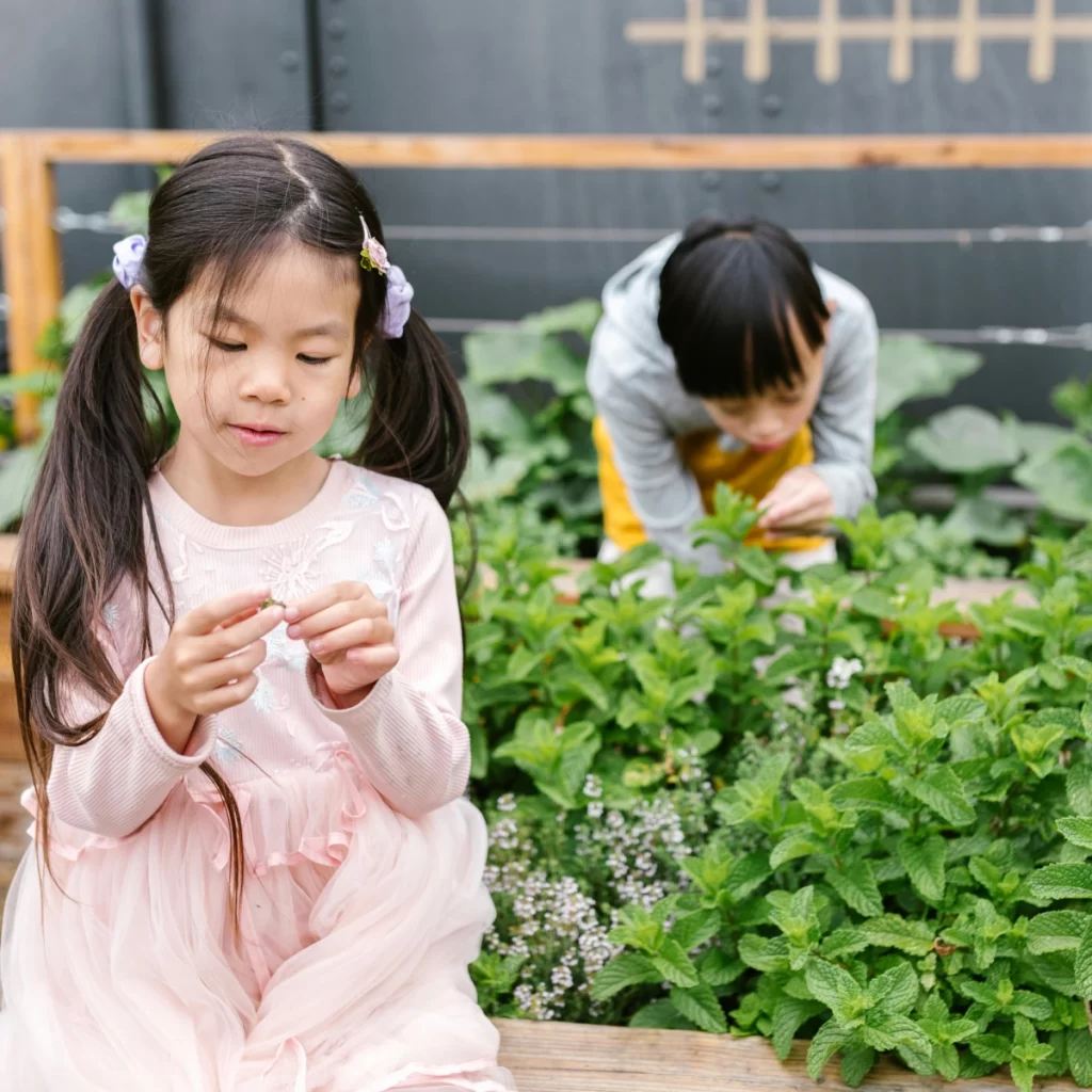Why Greenhouses are Ideal for Beginners