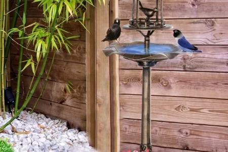 Garden Bird Bath
