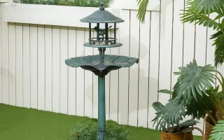 Bird bath in patio