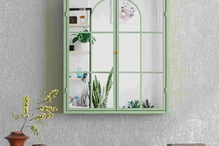 Green framed mirrored wall cabinet reflecting plants and shelves