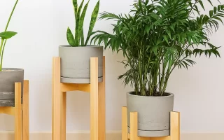 Three wooden plant stands holding potted green indoor plants