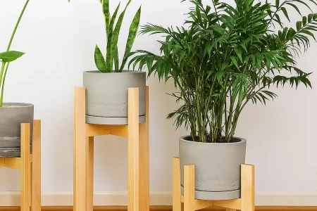 Three wooden plant stands holding potted green indoor plants