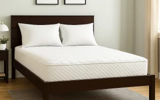 Dark wooden bed with white mattress in a modern bedroom.