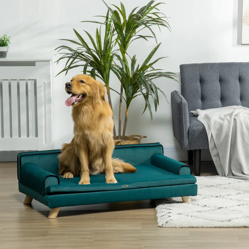Golden retriever sitting on teal elevated dog bed indoors
