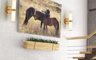 Wall lights with gold finish highlighting artwork in bright hallway