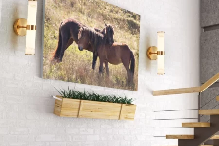 Wall lights with gold finish highlighting artwork in bright hallway