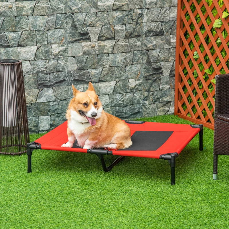 Corgi sitting on red elevated cooling outdoor dog cot
