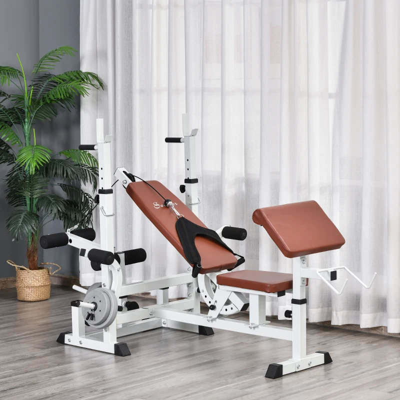 Adjustable home gym bench with leg extension and preacher curl