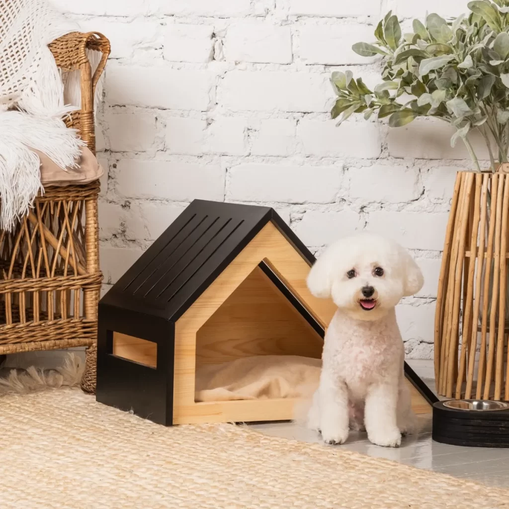 small white dog sitting beside a modern wooden indoor dog house on a cozy rug.