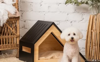 small white dog sitting beside a modern wooden indoor dog house on a cozy rug.
