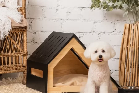 small white dog sitting beside a modern wooden indoor dog house on a cozy rug.