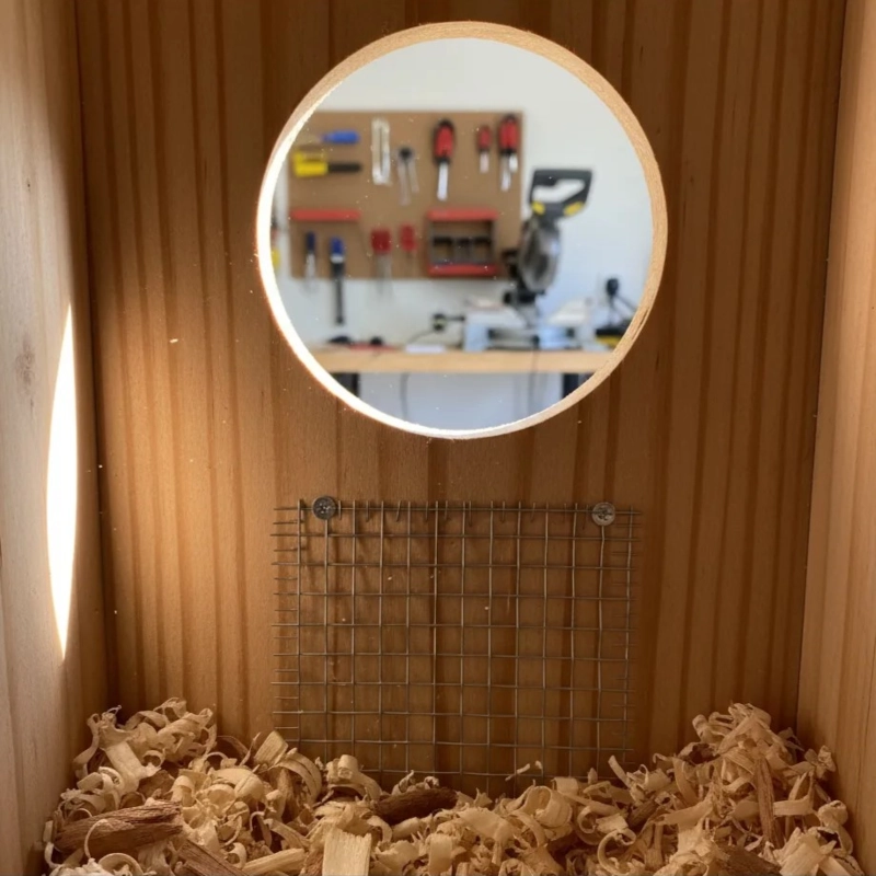 Interior view of a wooden box with wood shavings and wire mesh under a round opening.