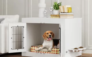 Beagle resting inside white indoor dog crate beside sofa.