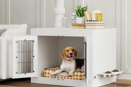 Beagle resting inside white indoor dog crate beside sofa.
