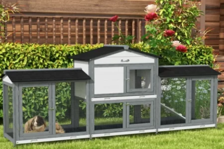 Large outdoor rabbit hutch setup in the garden with guinea pigs resting inside the enclosure.