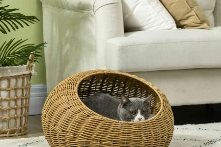 Gray cat sitting in a woven wicker basket pet bed.