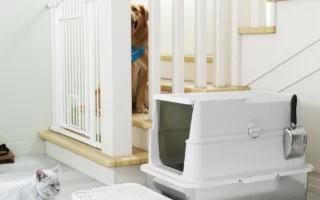 Cat sitting near a covered litter box beside staircase.