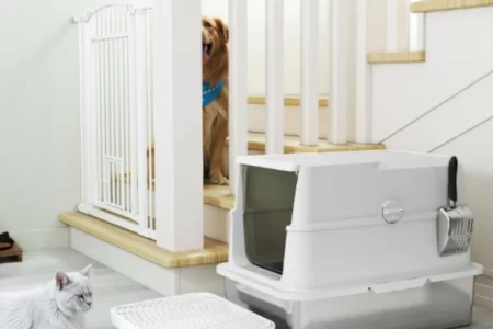 Cat sitting near a covered litter box beside staircase.