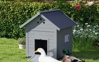 Two ducks standing beside a small grey outdoor duck house.