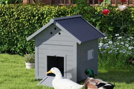 Two ducks standing beside a small grey outdoor duck house.