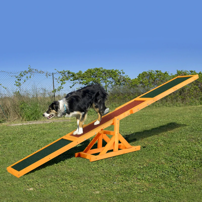 Border Collie balancing on wooden seesaw ramp in outdoor agility training field.
